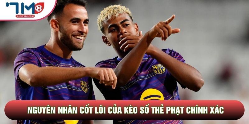 Nguyên nhân cốt lõi của kèo số thẻ phạt chính xác Nguyên nhân cốt lõi của kèo số thẻ phạt chính xác