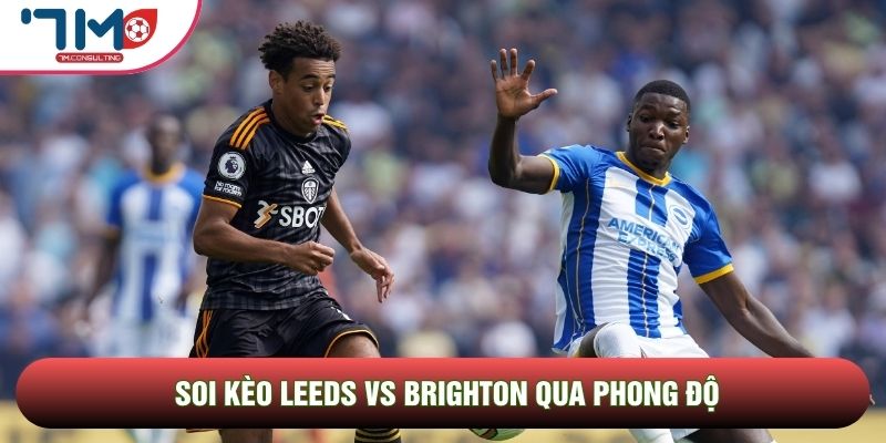 Soi kèo Leeds vs Brighton qua thống kê