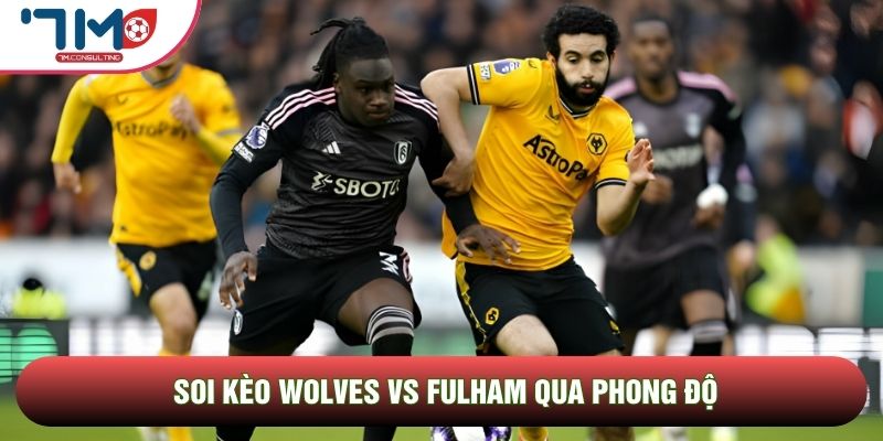 Soi kèo Wolves vs Fulham qua phong độ Soi kèo Wolves vs Fulham qua phong độ