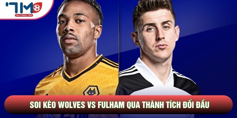 Soi kèo Wolves vs Fulham qua thành tích đối đầu Soi kèo Wolves vs Fulham qua thành tích đối đầu